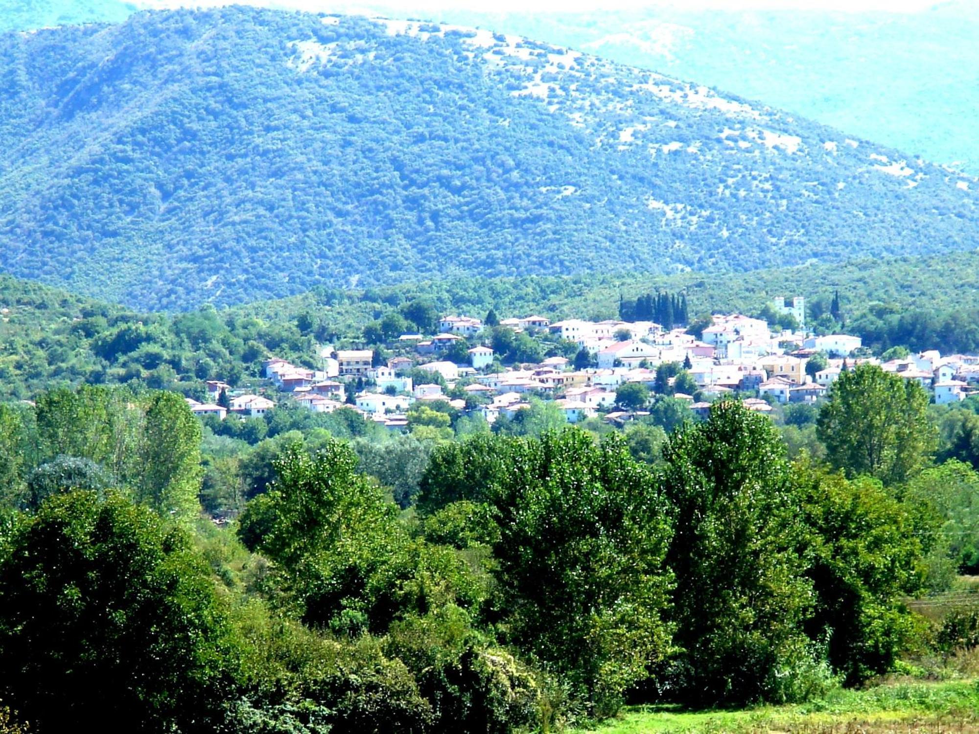 To Archontiko Guesthouse Villa Stawrupoli Zewnętrze zdjęcie